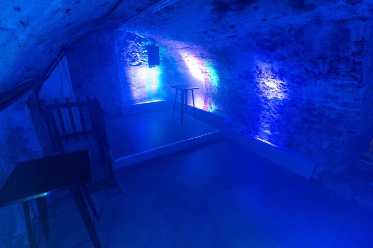 Boiler Room de Maiz'in Ardèche, piste de danse aux lumières bleues